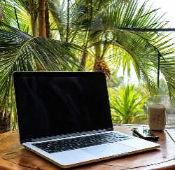 Роструд разрешает совместителям не брать отпуск одновременно с основной работой 