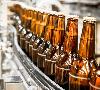 Повысили требования к производству пивоваренной продукции 