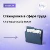 Стажировка в сфере труда: ключевые особенности 