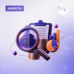 Налоговая служба планирует уточнить методику анализа юрлиц 